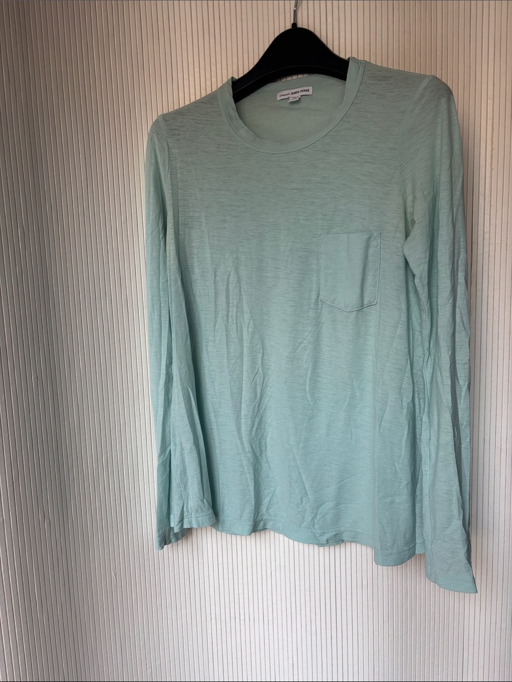 James Perse Long Sleeve Tee in Light Mint Green